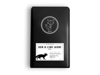 BRÉSIL | Bob-O-Link Jaune