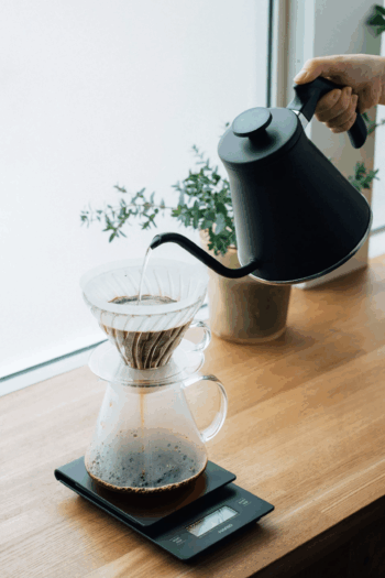 HARIO | V60 Kit Verre – Image 2