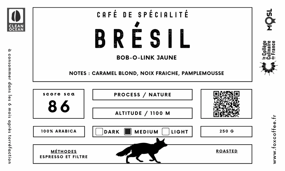 BRÉSIL | Bob-O-Link Jaune – Image 2