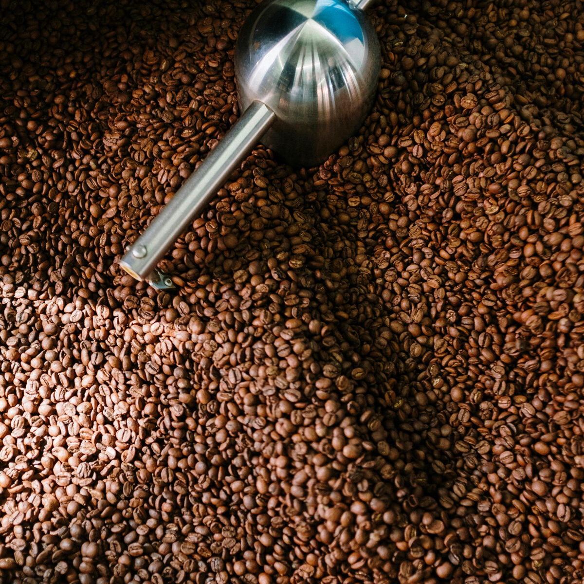 ATELIER - Torréfaction