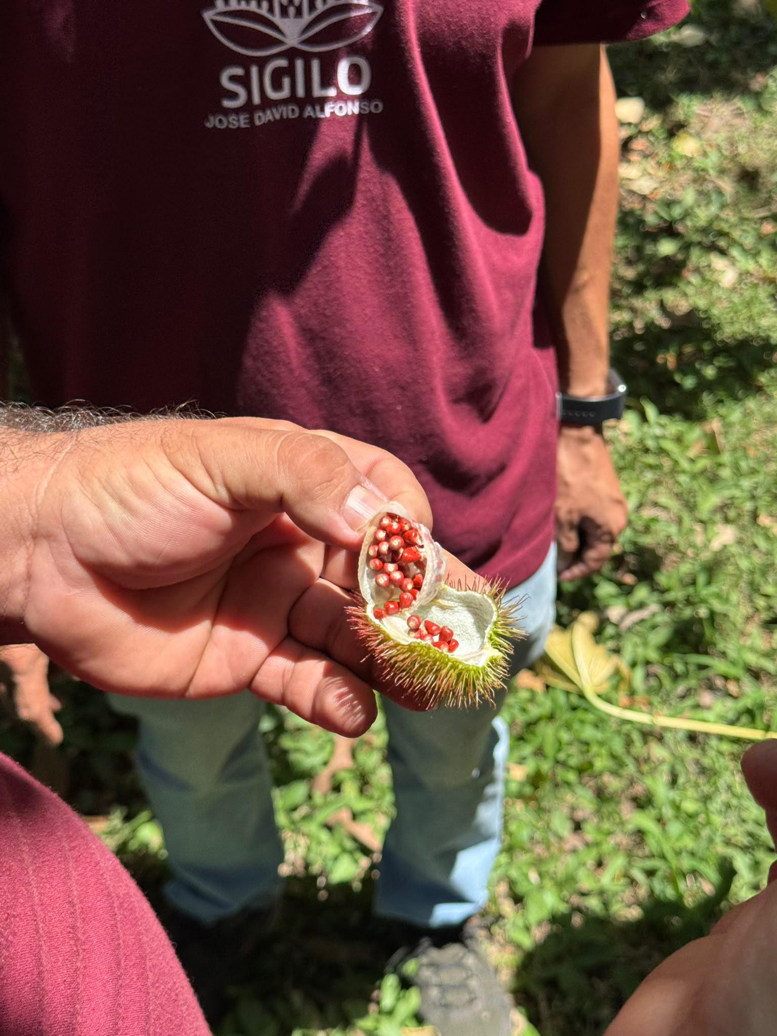 COLOMBIE | Bellavista Cinnamon Co-Fermented – Image 3